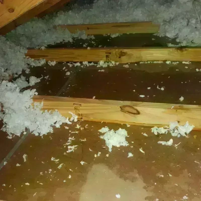 Attic Water Damage in French Camp, CA