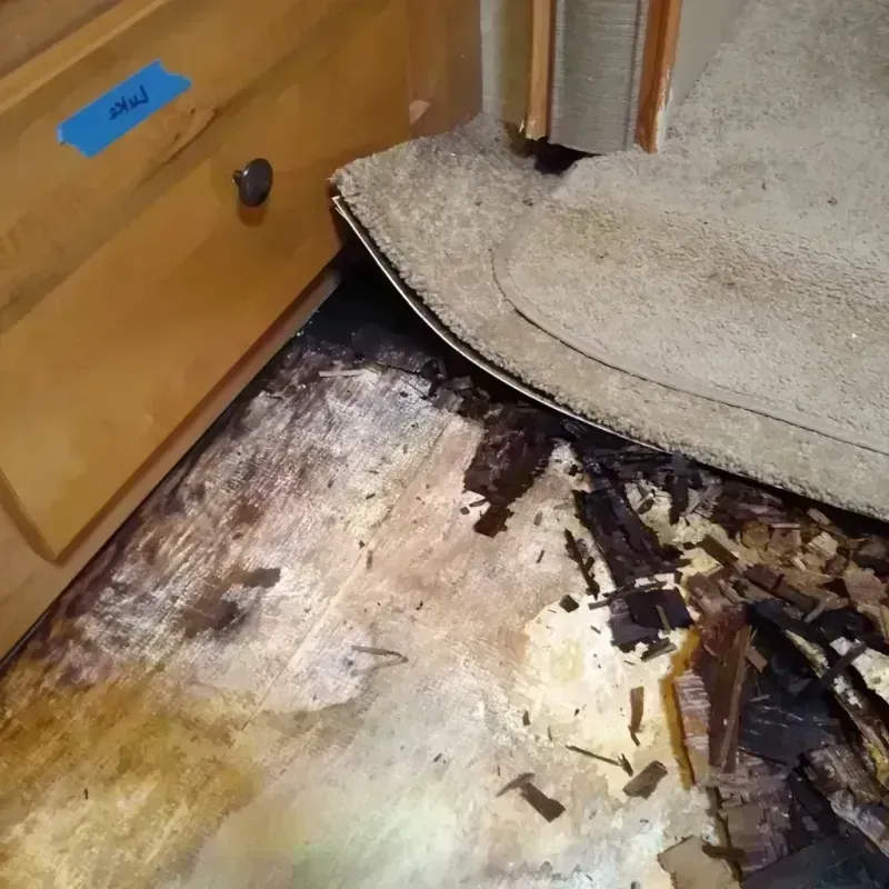 Wood Floor Water Damage in French Camp, CA